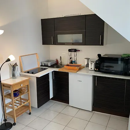Centre, Pres Avenue De Verdun- Et Casino A 10 Mn A Pied- 4 Personnes 比亚里茨